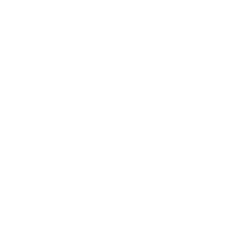 Logo oficial de la agencia de marketing digital The Row Agency